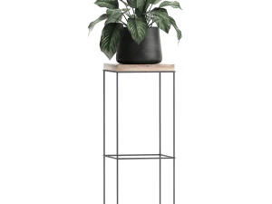 houseplants in a pot for the interior 899 3D Model