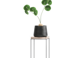 houseplants in a pot for the interior 899 Modelo 3D