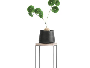 houseplants in a pot for the interior 899 3D Model