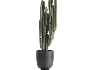 houseplants in a pot for the interior 899 Modelo 3D