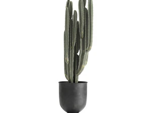 houseplants in a pot for the interior 899 3D Model
