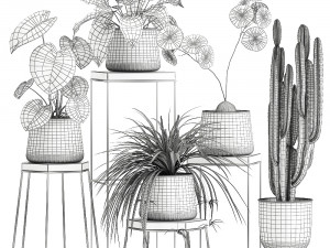 houseplants in a pot for the interior 899 Modelo 3D