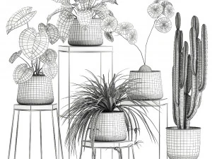 houseplants in a pot for the interior 899 3D Model