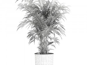 decorative palm in a flowerpot for the interior 900 3D Model