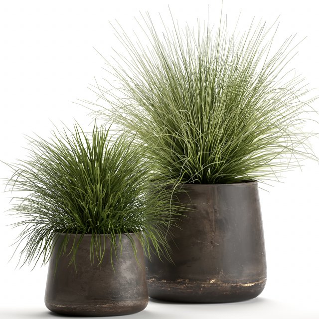 grass in a flowerpot for the interior 903 3D Model .c4d .max .obj .3ds .fbx .stl .blend 