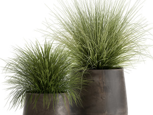 grass in a flowerpot for the interior 903 3D Model