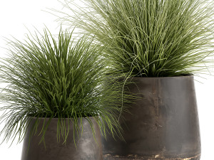 grass in a flowerpot for the interior 903 3D Model