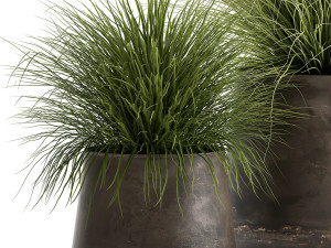 grass in a flowerpot for the interior 903 3D Model
