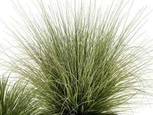 grass in a flowerpot for the interior 903 3D Model