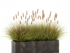 reeds in a flowerpot for the interior 904 3D Model