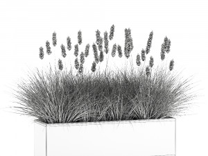 reeds in a flowerpot for the interior 904 Modèle 3D
