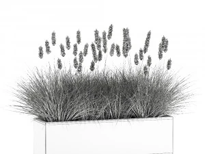reeds in a flowerpot for the interior 904 3D Model