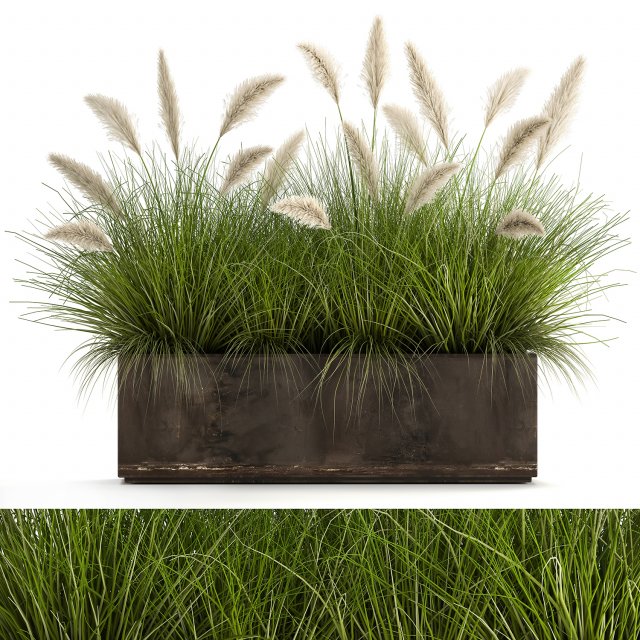 reeds in a flowerpot for the interior 905 3D Model .c4d .max .obj .3ds .fbx .stl .blend 