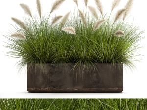 reeds in a flowerpot for the interior 905 3D Model