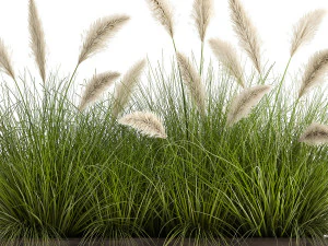 reeds in a flowerpot for the interior 905 3D Model