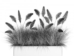 reeds in a flowerpot for the interior 905 3D Model