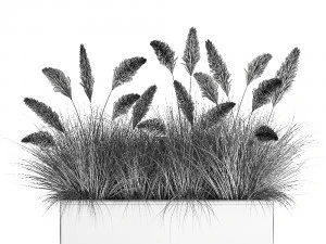 reeds in a flowerpot for the interior 905 3D Model