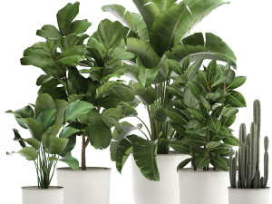 houseplants in a white pot for the interior 906 3D Model