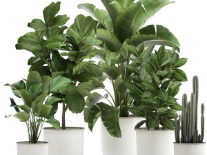 इंटीरियर के लिए सफेद गमले में हाउसप्लांट 906 3D मॉडल