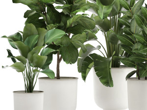houseplants in a white pot for the interior 906 3D Model