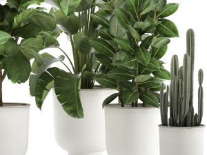 houseplants in a white pot for the interior 906 3D Model
