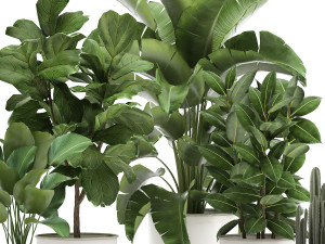 houseplants in a white pot for the interior 906 3D Model