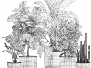 houseplants in a white pot for the interior 906 3D Model