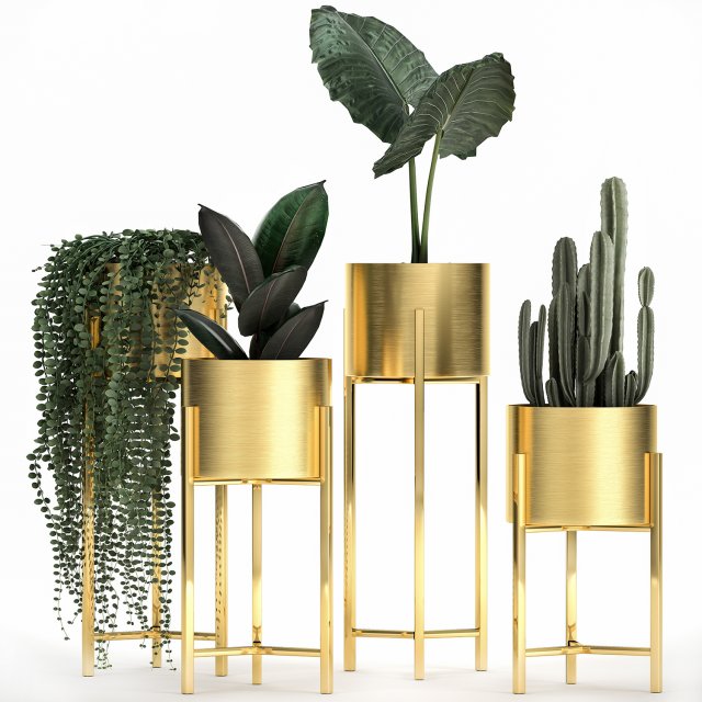 houseplants in a gold pot for the interior 907 3D Model .c4d .max .obj .3ds .fbx .stl .blend 