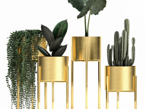 houseplants in a gold pot for the interior 907 3D Model
