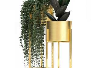 houseplants in a gold pot for the interior 907 3D Model
