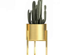 houseplants in a gold pot for the interior 907 3D Model