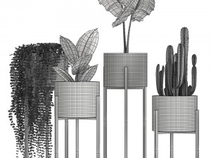 houseplants in a gold pot for the interior 907 3D Model