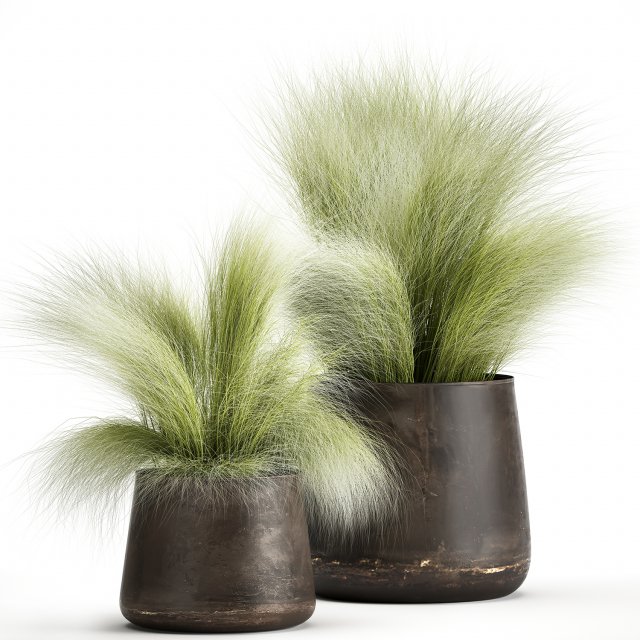 grass in a flowerpot for the interior 908 Model 3D .c4d .max .obj .3ds .fbx .stl .blend 