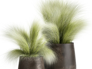 grass in a flowerpot for the interior 908 3D Model