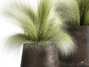 grass in a flowerpot for the interior 908 Model 3D