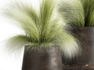grass in a flowerpot for the interior 908 3D Model