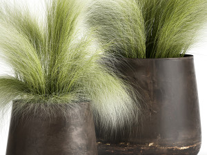 grass in a flowerpot for the interior 908 Model 3D