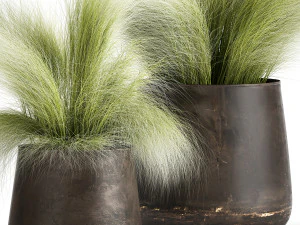 grass in a flowerpot for the interior 908 3D Model