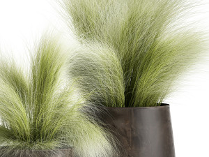 grass in a flowerpot for the interior 908 Model 3D