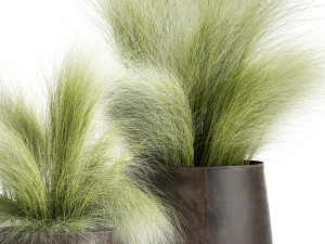 grass in a flowerpot for the interior 908 3D Model