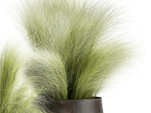 grass in a flowerpot for the interior 908 3D Model