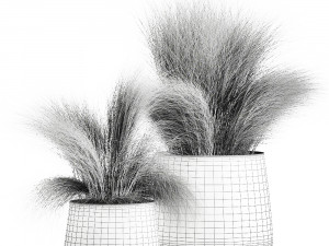 grass in a flowerpot for the interior 908 Model 3D