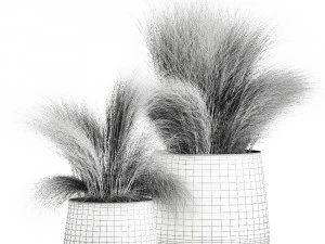 grass in a flowerpot for the interior 908 3D Model