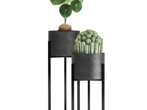 houseplants in a black pot for the interior 909 Modèle 3D