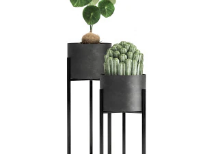 houseplants in a black pot for the interior 909 3D Model