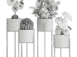 houseplants in a black pot for the interior 909 Modèle 3D