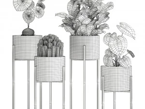 houseplants in a black pot for the interior 909 3D Model