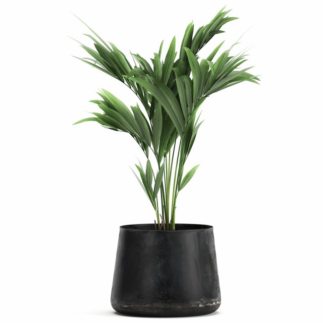 decorative palm in a flowerpot for the interior 910 Modelo 3D .c4d .max .obj .3ds .fbx .stl .blend 