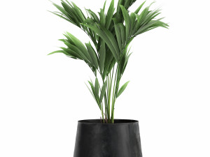 decorative palm in a flowerpot for the interior 910 3D Model