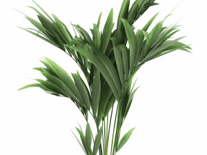 decorative palm in a flowerpot for the interior 910 Modelo 3D